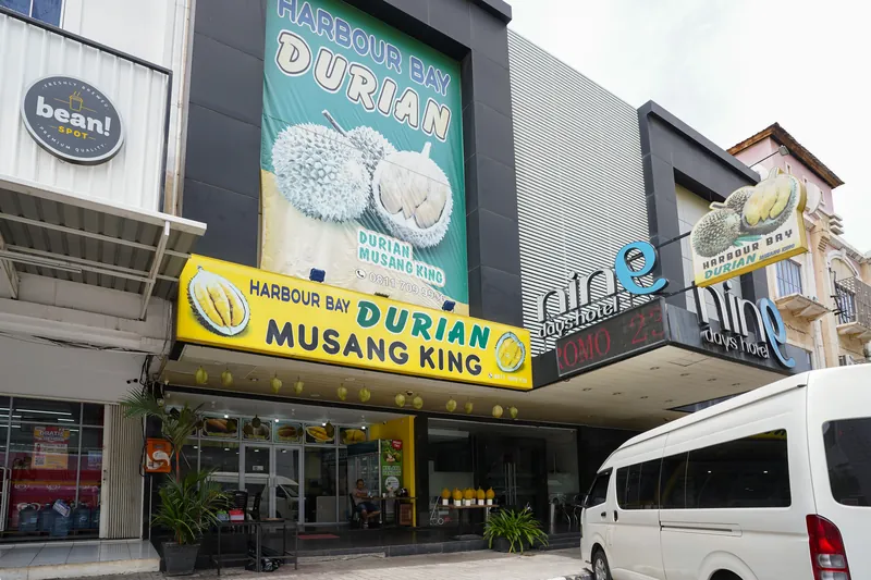 Harbour Bay Durian Musang King